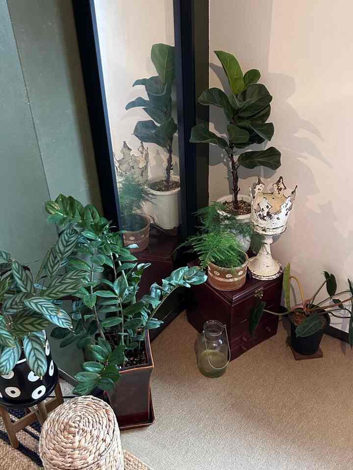 ベージュの床と木目調家具、黒いフレームの鏡と複数の植物が配置された落ち着いたコーナーのインテリア