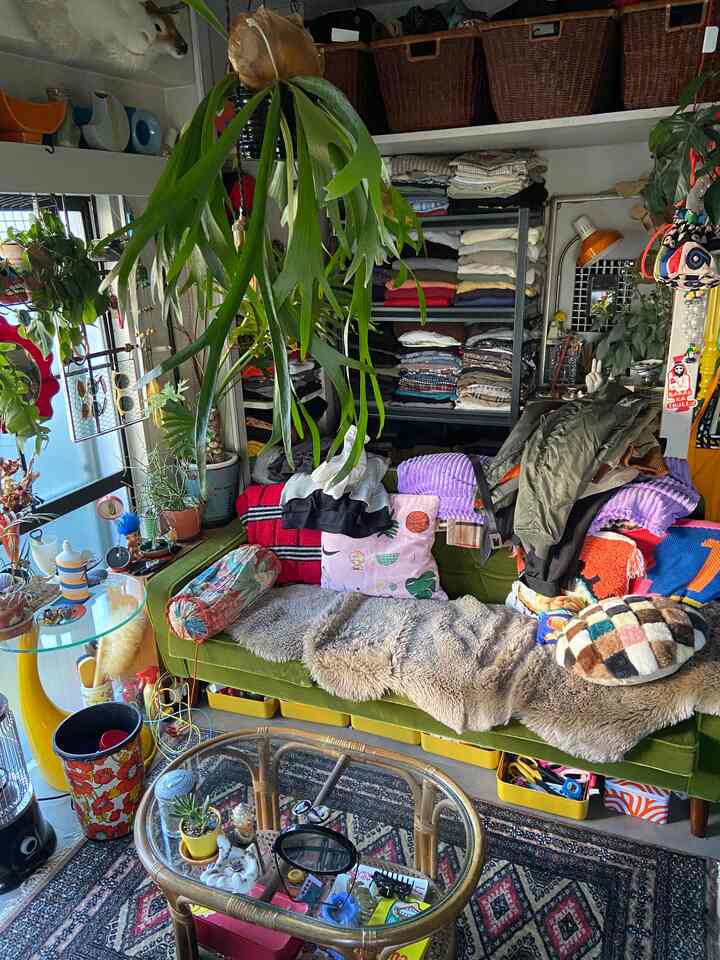 帰ってきてソファの背に上着を掛けていても、テーブルの上に前の日の物が置きっぱなしでも、絵になる部屋を目指しています◎
#ミッドセンチュリー #ヴィンテージ #昭和レトロ
#観葉植物 #グリーンインテリア #ソファインテリア
#リビングインテリア #カリモク60 #ロビーチェア