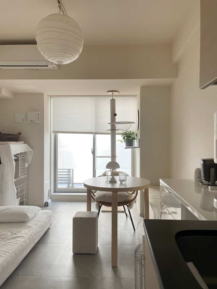 白とナチュラルカラーのワンルーム、キャットタワーと丸テーブルが配置されたシンプルで温かみのあるインテリア