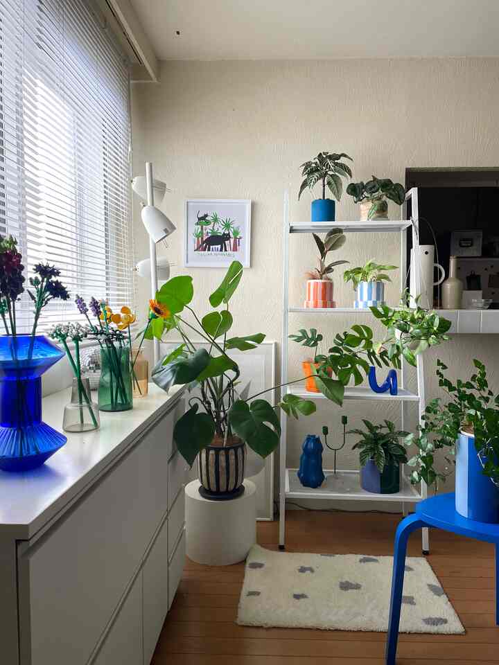 植物🪴コーナーの新しいポスター🐈‍⬛
ohouse shoppingで買ったよ
#ohouseshopping #ohouse #ポスター #ポスターインテリア #1DK #2人暮らし #植物 #植物インテリア #IKEA #LEGO 