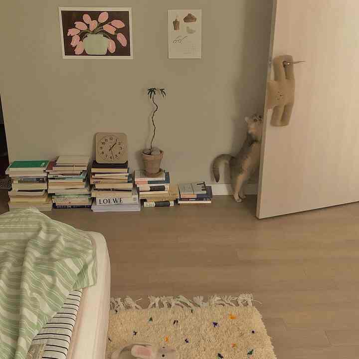 ベージュとナチュラルトーンの小さな寝室、壁にポスターと本が並び、猫がドア付近にいる雰囲気のある空間
