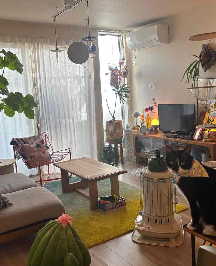 Yellow and green toned living room featuring a cat, plants, and natural wood furniture with cozy ambiance