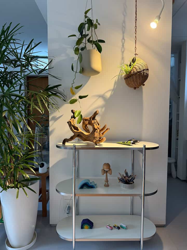 シェルフを追加！
初めてohouseのオンラインショップを利用してみました。以前から気になっていた商品。
しっかり梱包されて1週間程で届きました。
組み立ては女性1人で15分程。
色味は真っ白なホワイトではなく少しアイボリーがかった白で、商品ページの写真の通り。
質感も悪くない。
天板は少しだけザラっとした手触りでマットな感じ。
サイズもイメージ通りで満足♪


とりあえずあるものを並べてみる。
（ほぼ子どものおもちゃ笑）

我が家は基本実用性重視でディスプレイを楽しめる場所がなかったので、これから色々試してみたいです。

#Ohouseshopping
#シェルフ 