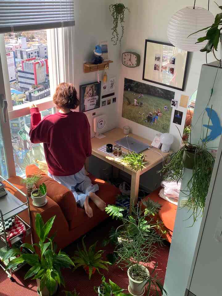 明るいオレンジ色のソファと自然豊かな植物が並ぶ1Kワンルームのホームオフィス空間