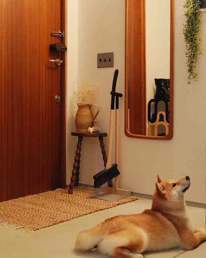 Natural-colored Nordic vintage entrance featuring dark wood door and full-length mirror, rattan decor, with a pet dog resting comfortably
