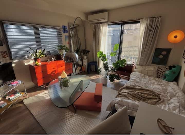 Natural tone 8-tatami studio living room with sofa bed, wooden furniture, and plants creating warm atmosphere