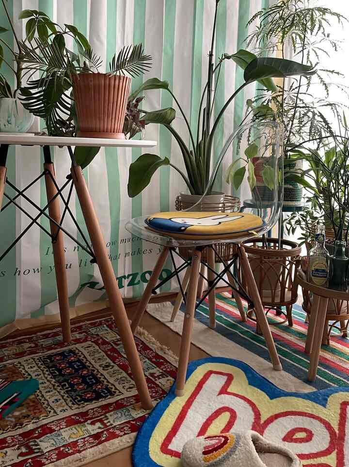 透明アクリルの椅子と木製脚のカフェテーブル、多彩なラグとたくさんの観葉植物が配置された落ち着いたワンルーム空間