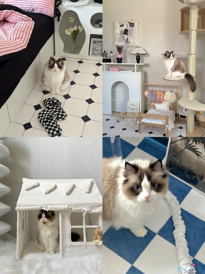 short form carousel card thumbnail