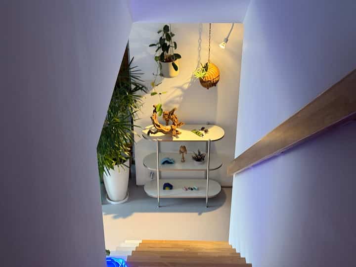 White and navy toned stair area featuring a simple white 3-tier shelf and plants with a clean, minimalist atmosphere