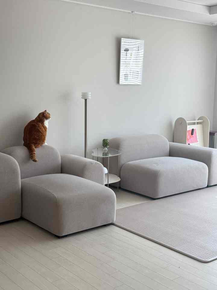 ナチュラルカラーのリビング、2つのグレーのソファと猫がいるミニマルな空間