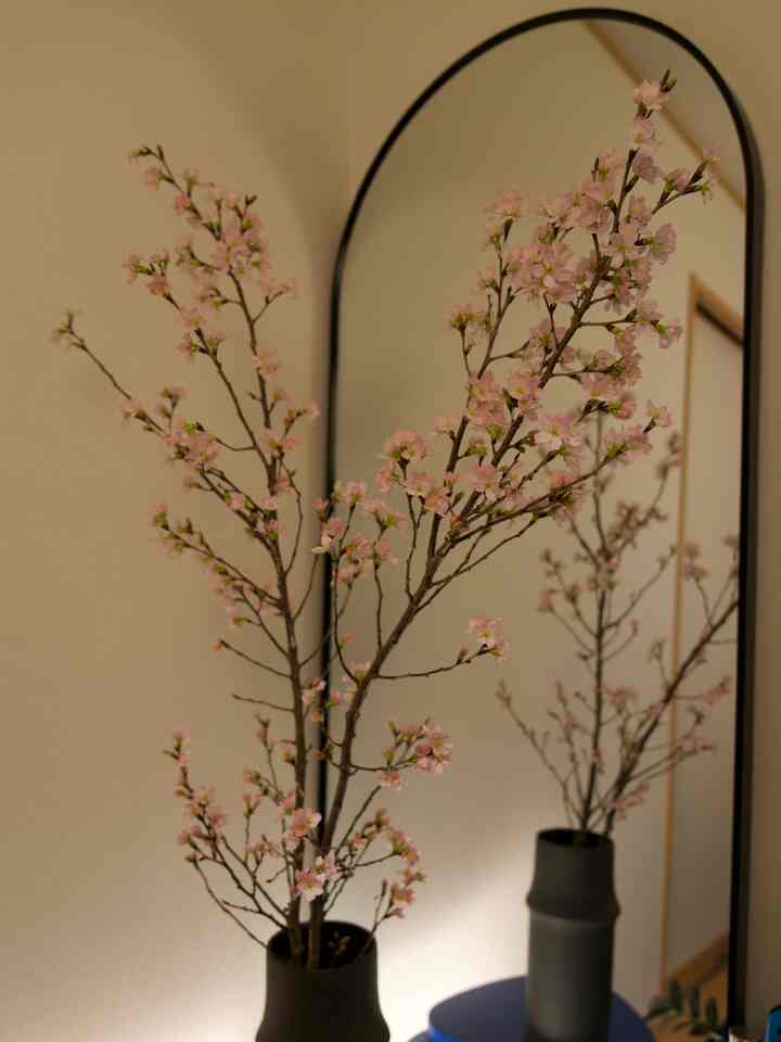 春🌸

#リビング #全身ミラー #さくら #春のインテリア  