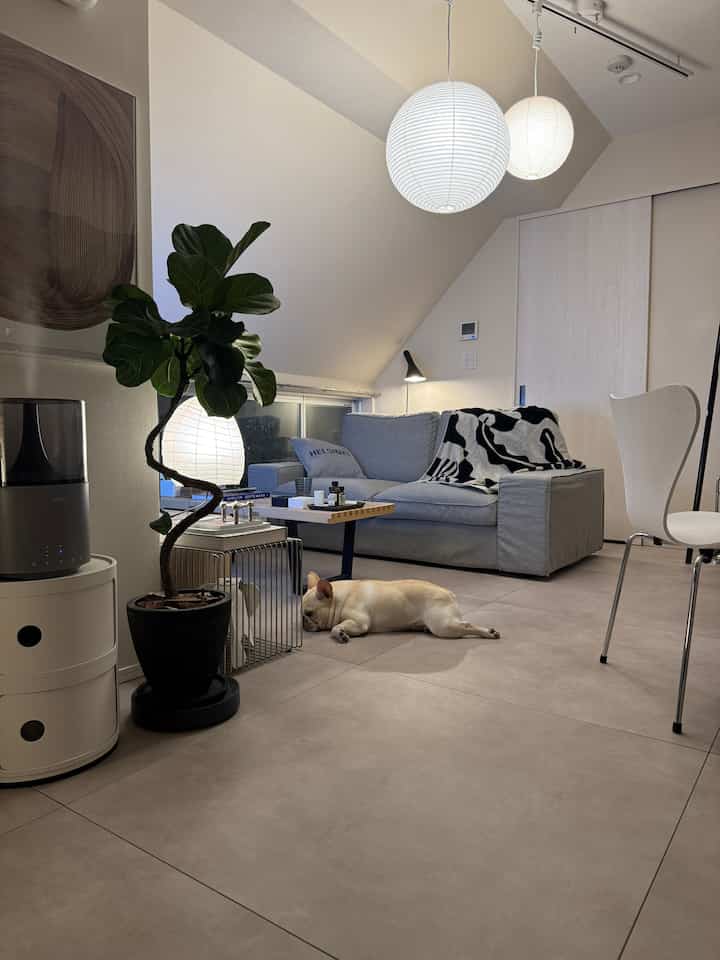 グレーのソファとペンダントライトが配置された北欧風のリビング、床に寝そべる犬が落ち着いた雰囲気を演出。