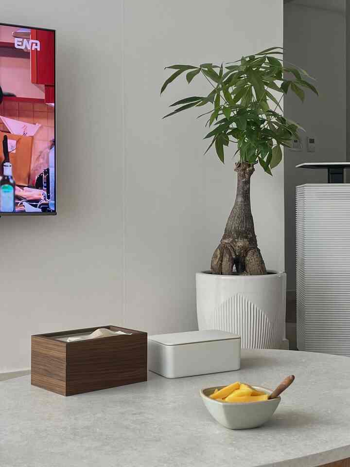 ホワイトトーンのリビングルーム、中央右にパキラ植物と木製の小物が配置されたシンプルなインテリア