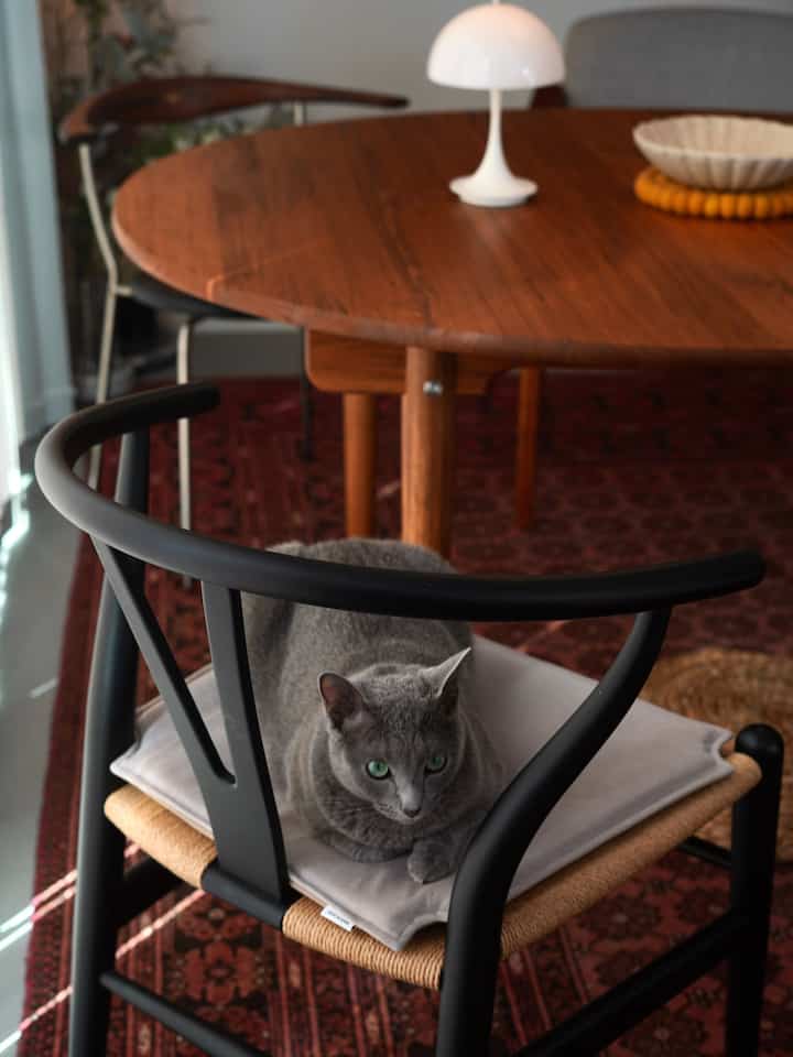 Nordic-style dining room with wood tones and black accents, featuring a dining table and chairs with a cat sitting on one chair