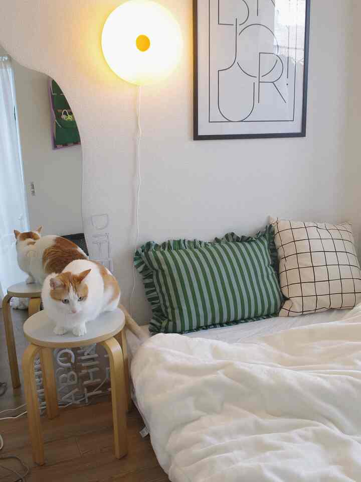 Minimal bedroom with white walls and bedding, green striped pillow, yellow wall lamp, and an orange-white cat sitting on a round stool