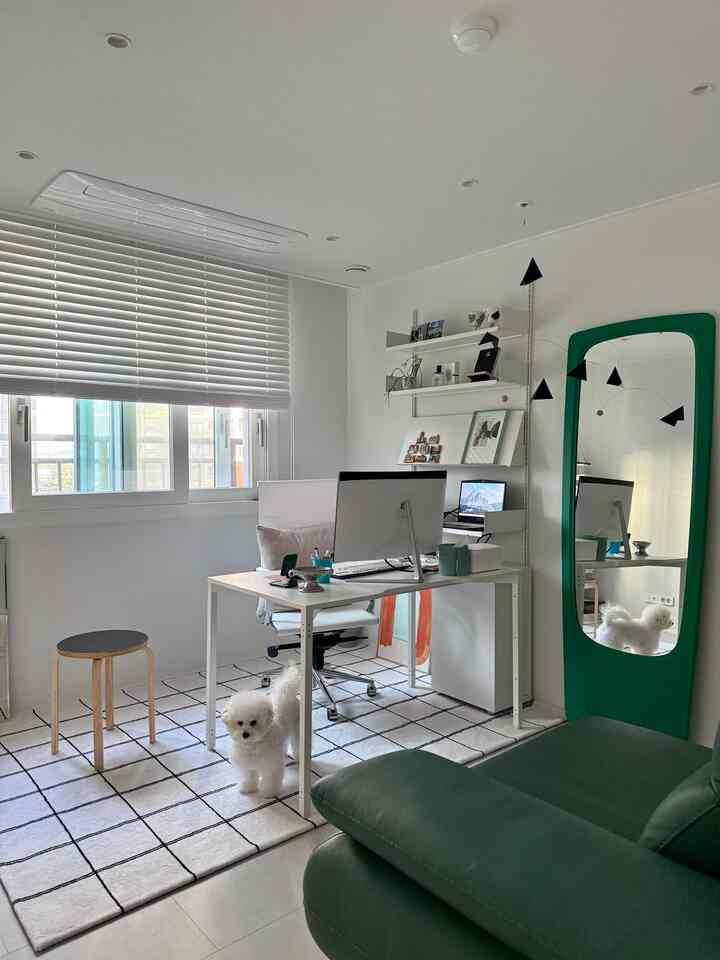 White and green-toned study space featuring a clean desk, rug, and a small dog in a cozy home office setup