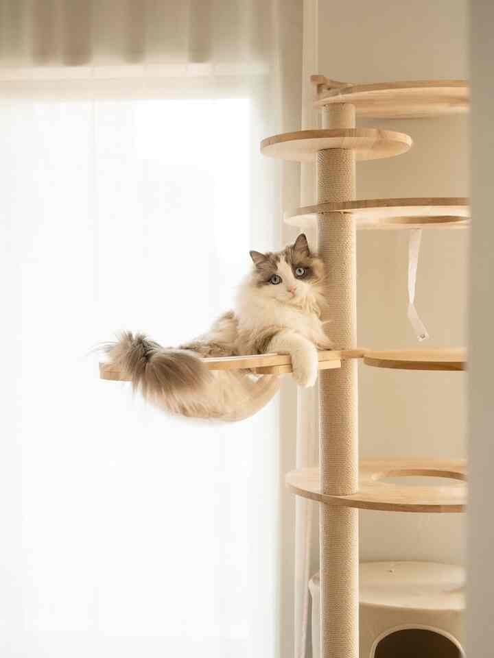 ベージュとナチュラルカラーのリビング、キャットタワーにくつろぐ猫が配置されたシンプルで落ち着いたインテリア