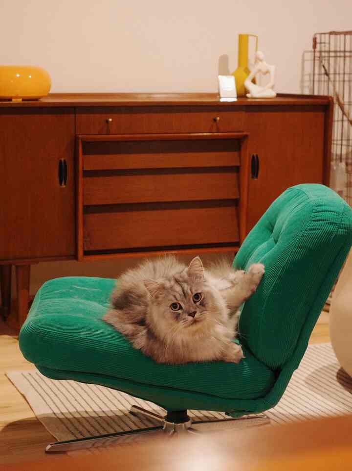 Brown living room interior featuring a green swivel armchair with a gray cat lying on it