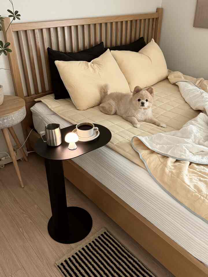 ナチュラルな木目調の寝室、ベージュの寝具と小さな犬がくつろぐ、モダンで温かみのある雰囲気のインテリア