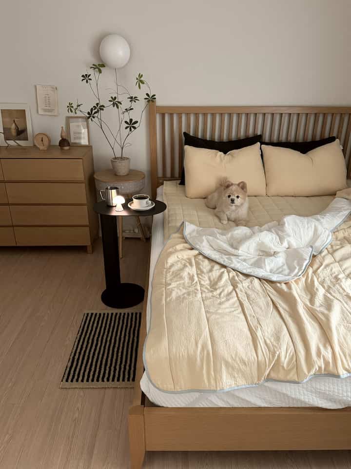 Warm-toned bedroom featuring butter-colored bedding and wood-toned furniture, with a small dog resting centrally on the bed