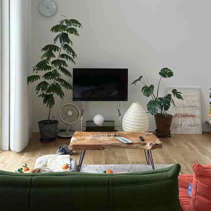 ナチュラルカラーのリビング、緑のソファと木製のコーヒーテーブル、フロアランプと植物が配置された雰囲気のある空間