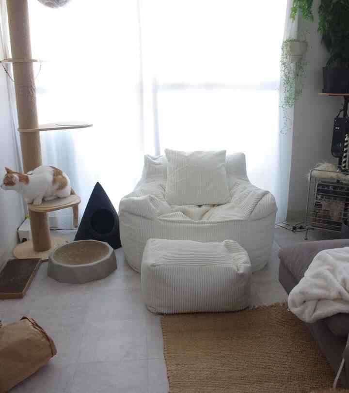 白を基調としたリビング、中央に大きなビーズクッションと猫がいるキャットタワーが配置された暖かみのあるインテリア