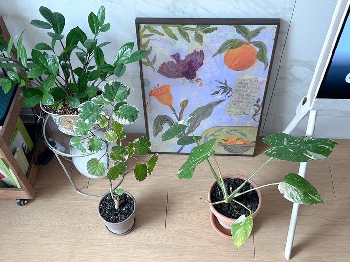 short form carousel card thumbnail