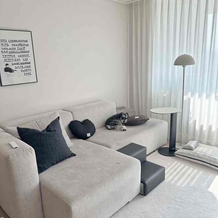 ベージュのリビング、広いソファと黒いペット用階段、クッションに座る犬がいる暖かい空間