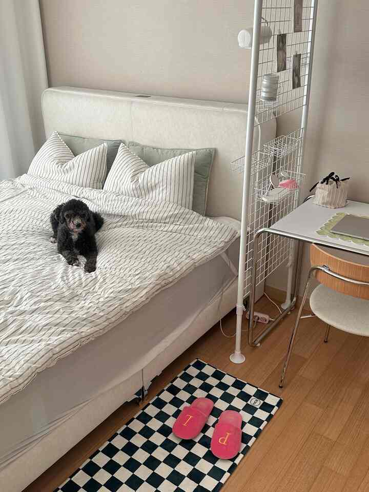 ホワイトとウッドトーンの寝室、ホームオフィスの机と多目的パーティション、ベッドの上に座る犬がいる落ち着いた雰囲気のインテリア