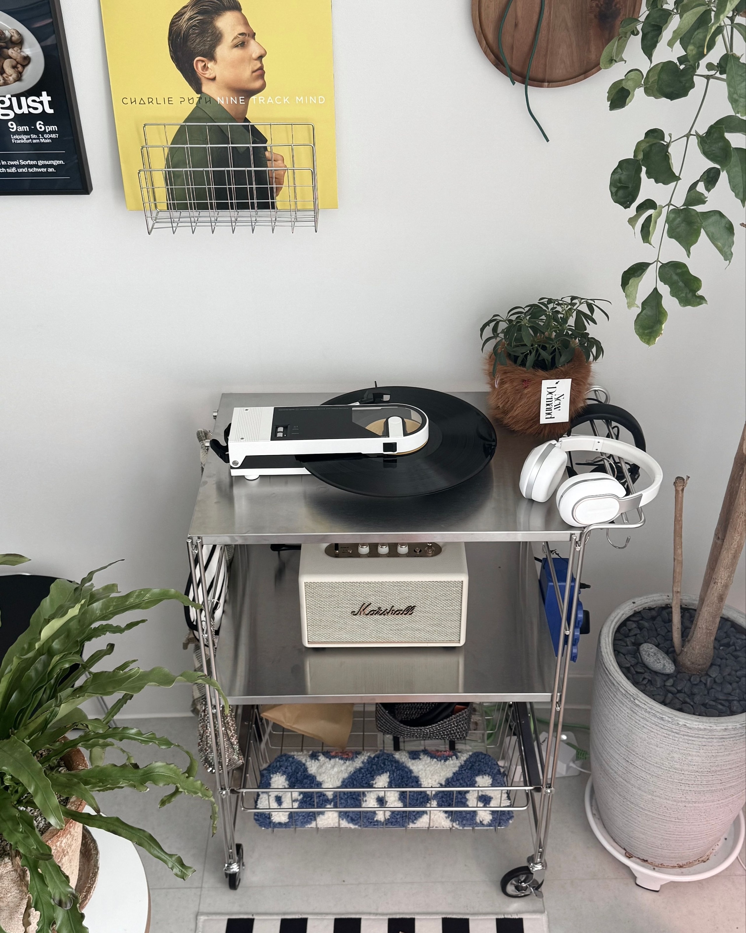 Flat Stainless Steel 3-Tier Trolley Wagon user photo