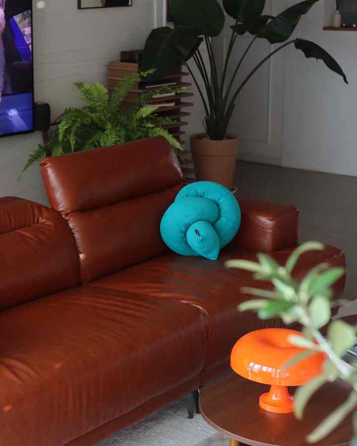 A natural tone living room featuring a brown leather sofa with a turquoise cushion and green plants, creating a cozy atmosphere