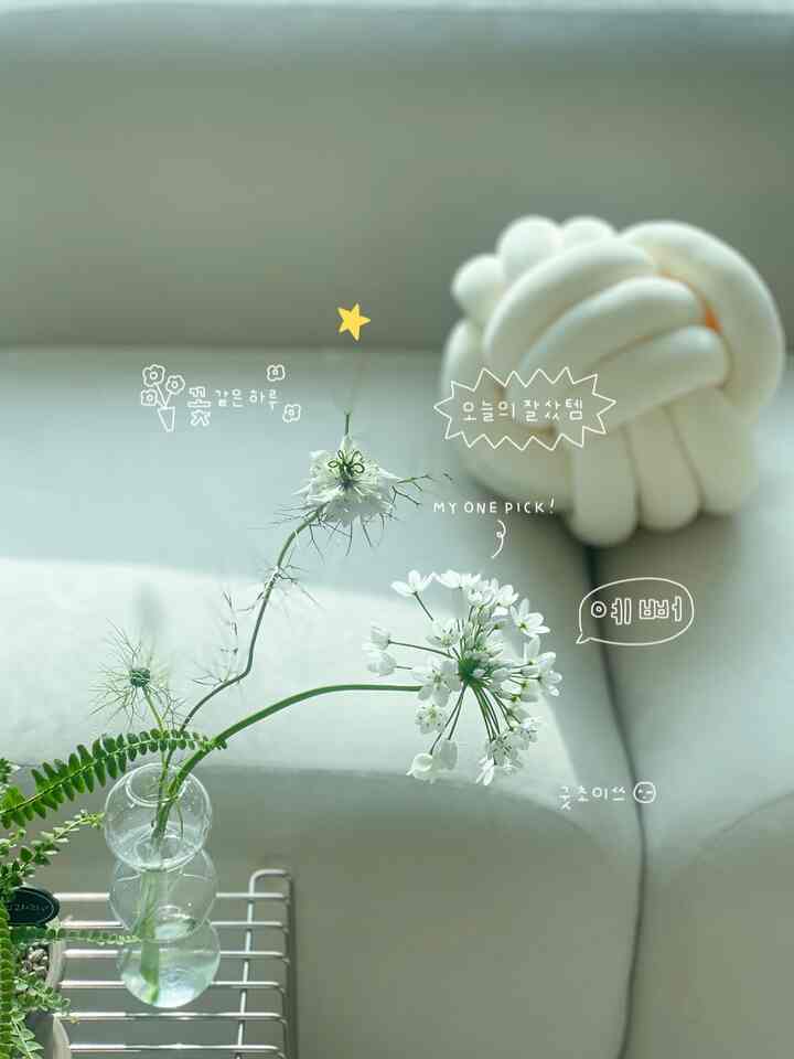 ＃今日の私たちの家＃コンスプ記録

昨日、ブンガルも割と 
きれいな植木鉢と春の花を連れてきました。

ハンソンだけで華やかさが豊かなコワニ_
星のように美しく神秘的なニゲラ_

両方ともきれいですね゜ﻬ⡱

 
#チャンネル
#春の花 #花のスター #flowers