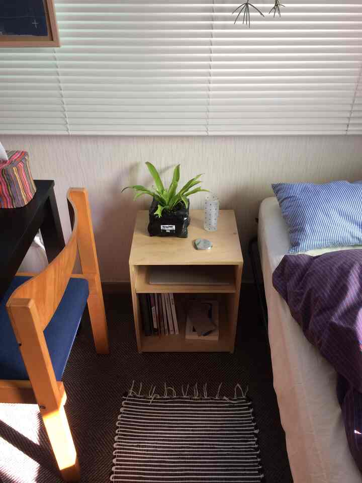 ホワイトとウッドトーンの調和が取れたワンルーム寝室、ナイトテーブルの植物と青い枕がアクセントの落ち着いた空間