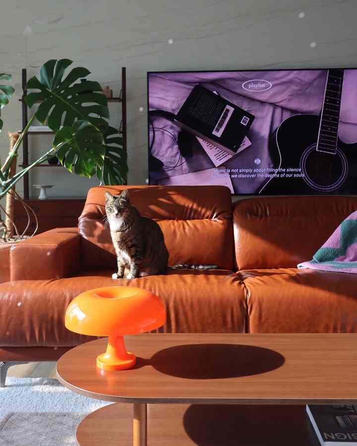 Warm brown leather sofa and orange lamp in living room, cozy space bathed in natural light through window