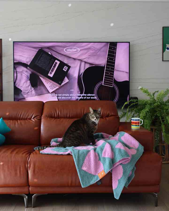 暖かいブラウン調のリビング、巨大なテレビ、大きな革製ソファの上に座る猫、緑の植物とカラフルなスローが配置された雰囲気のある空間