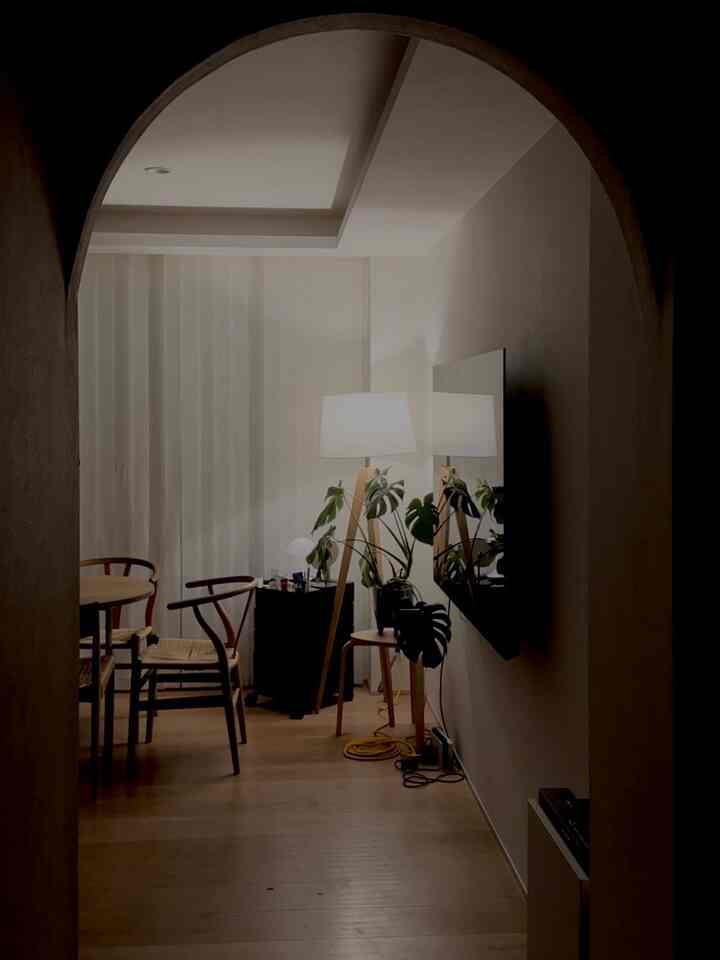 At night, the indirect lighting alone creates a moody atmosphere.

#diningroominterior

#livingroomstyling

#livingroominterior

#indirectlightinginterior