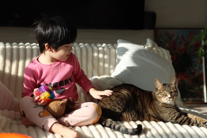 short form carousel card thumbnail