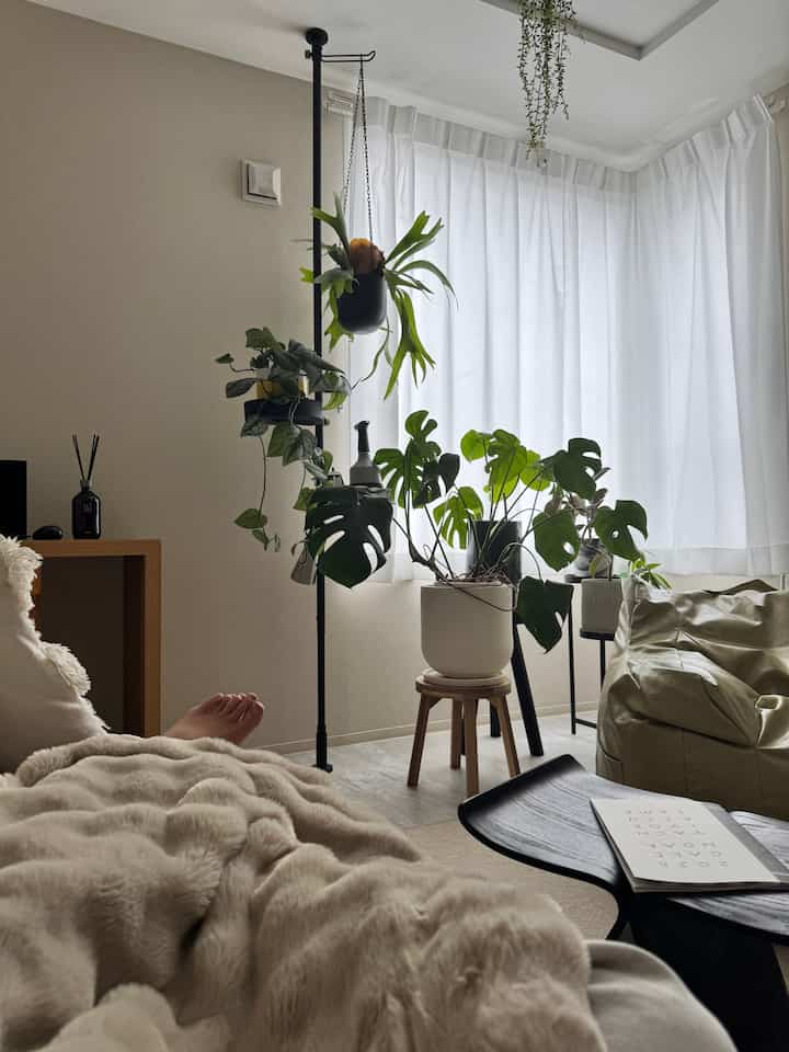 Hari malas ☺︎
#Selimut listrik #観葉植物 #北欧インテリア