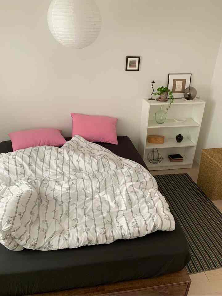 ホワイトとブラック、ナチュラルトーンが調和する寝室、ピンクのクッションと本棚が雰囲気のあるインテリアを演出