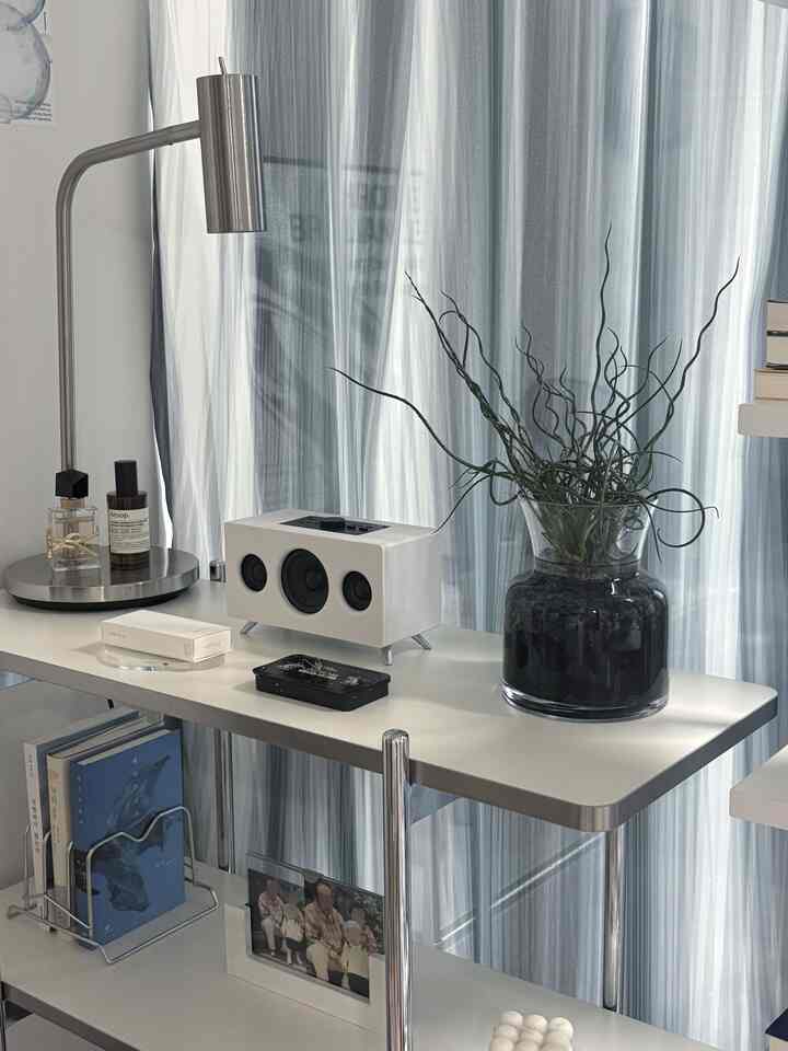 Modern space featuring white and silver toned shelf with speaker, desk lamp, and plant arranged neatly