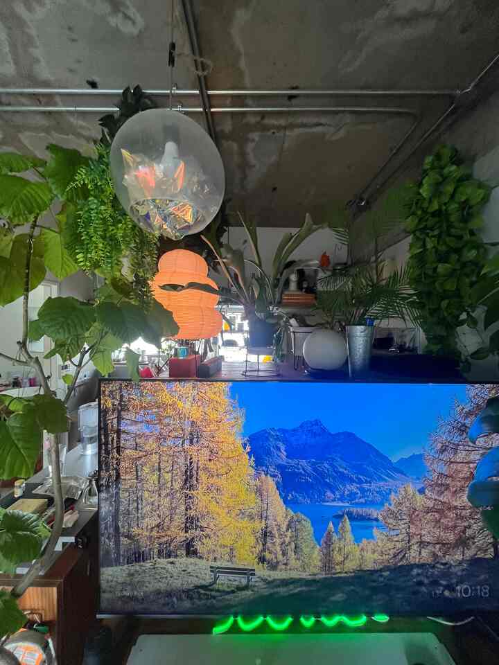 さぶあかです。なんか久々な気分です。最近暖かいので植物たちが元気な気がします。

春に成ったら少し何か増やしたいなの気持ち。

#賃貸 #賃貸ワンルーム #ワンルーム #リノベーション #観葉植物