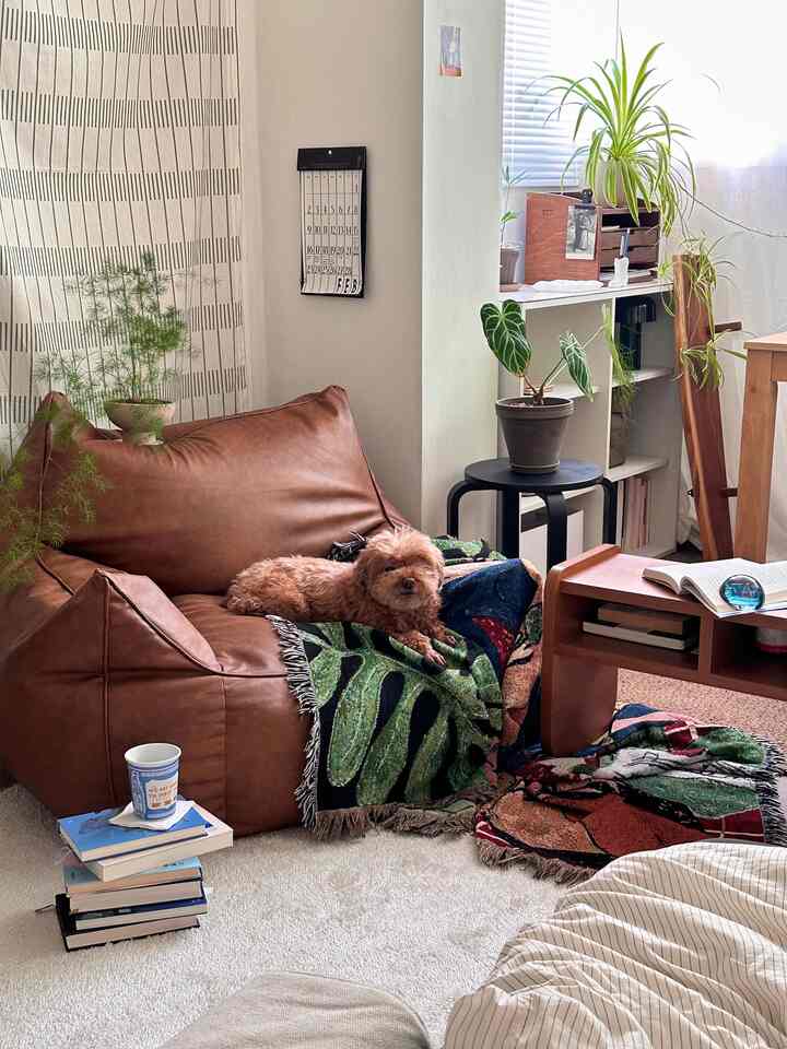Cozy small room with warm wood tones and a bean bag sofa, featuring a dog resting comfortably on the sofa