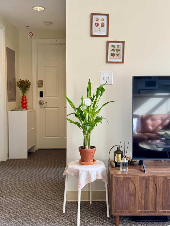 keep the home fragrant ~

#fragrant #plant #trudon #roomspray #williamssonoma #diffuser #ikea #stool