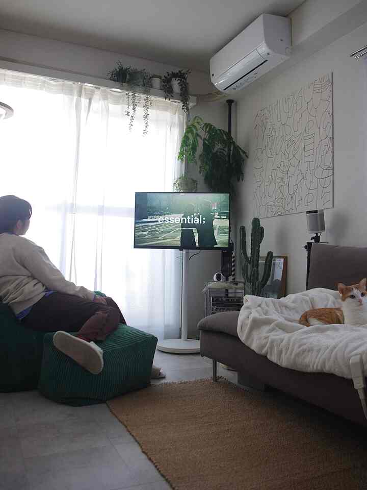 ホワイトとグリーンの色調が調和する一人暮らしのリビング、ソファとビーズクッション、猫がくつろぐナチュラルモダンな空間