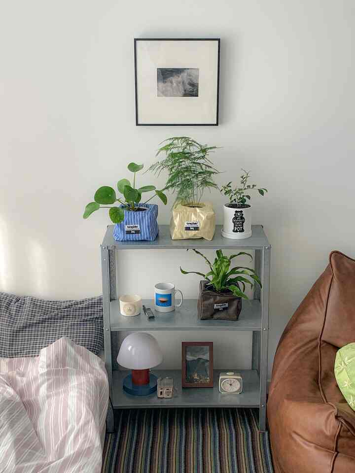 白い壁とブラウンのソファがある小さい部屋、中央にシルバーのメタル棚と多彩な植物が配されたナチュラルモダンなインテリア