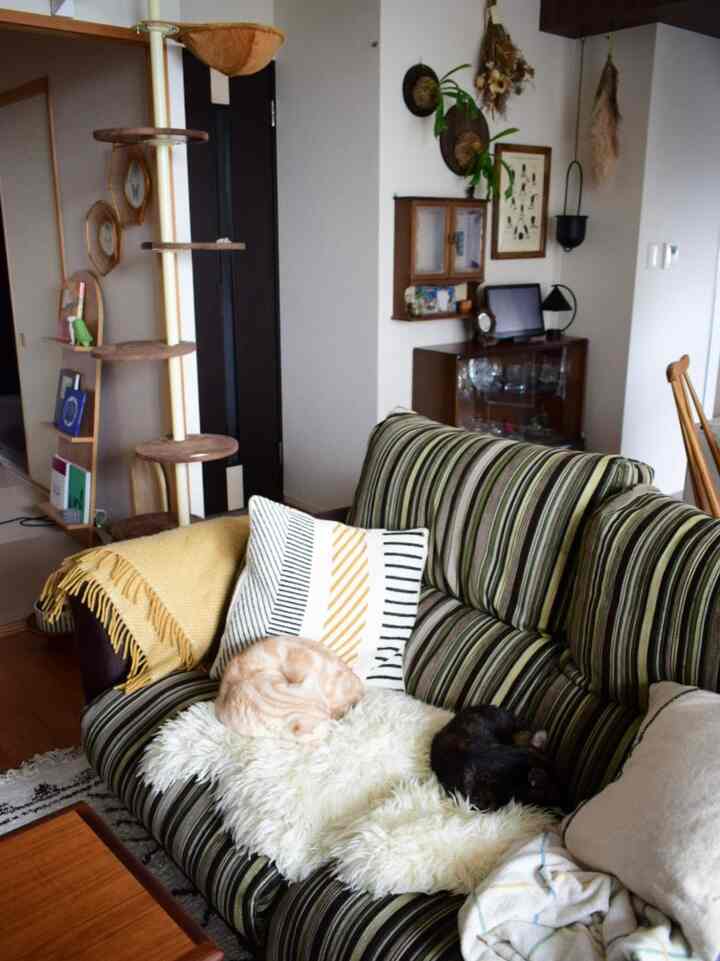 ブラウンとグリーンの色調が調和するリビング、ストライプのソファとキャットタワーが配置され、二匹の猫がくつろぐ雰囲気のあるインテリア