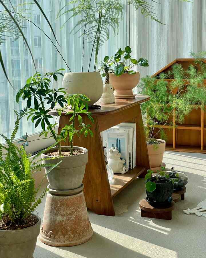 自然な木目調と多様な植物が配置されたリビング、明るく居心地の良い雰囲気のインテリア