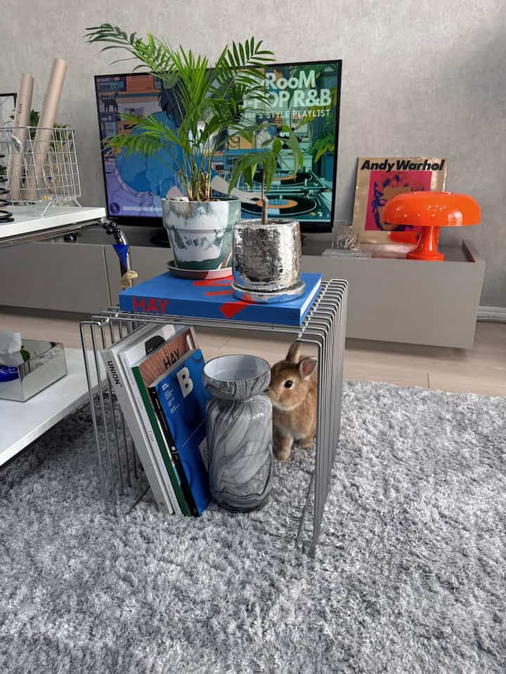 🐰🐰🐰
#リビング
#リビングインテリア
#リビング植物 
#植物のある生活 
#ミッドセンチュリー
#ミッドセンチュリーモダン
#うさきぎ
#うさぎのいる暮らし
