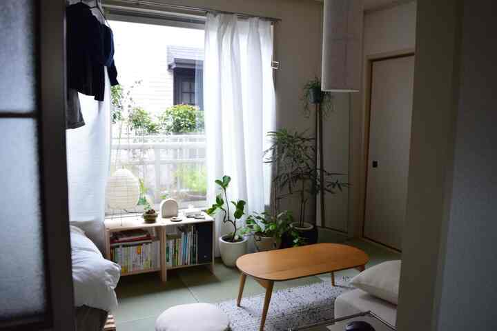 ナチュラルな色調のワンルームリビング、畳の床と木製コーヒーテーブル、多数の観葉植物と和紙ランプが配置された印象的な空間