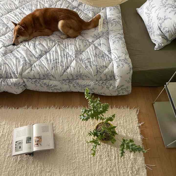 Natural tone bedroom featuring ivory rug and wood flooring, with a dog resting on the bedding creating a cozy atmosphere